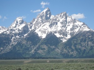 IMG_0808