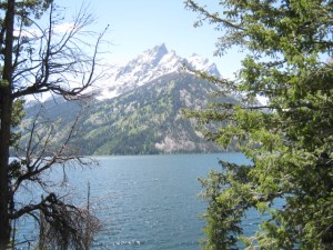 IMG_0810