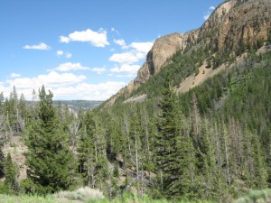 IMG_0843