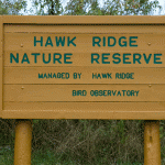 hawk ridge 008