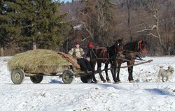 romania 2003 horse cart