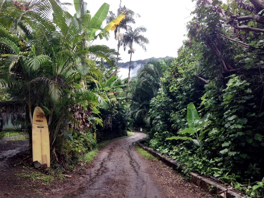 kauai jungle road