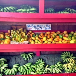 eating healthy in Hawaii fresh fruit display