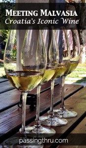 Malvasia - the iconic Croatian wine