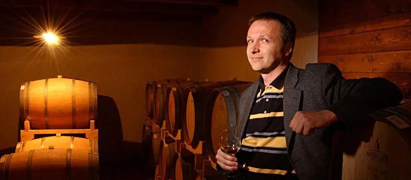 Ivica Matosevic, Istrian winemaker