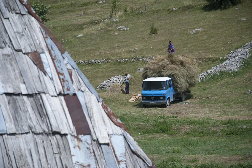 cutting hay in the mountains above Sarajevo