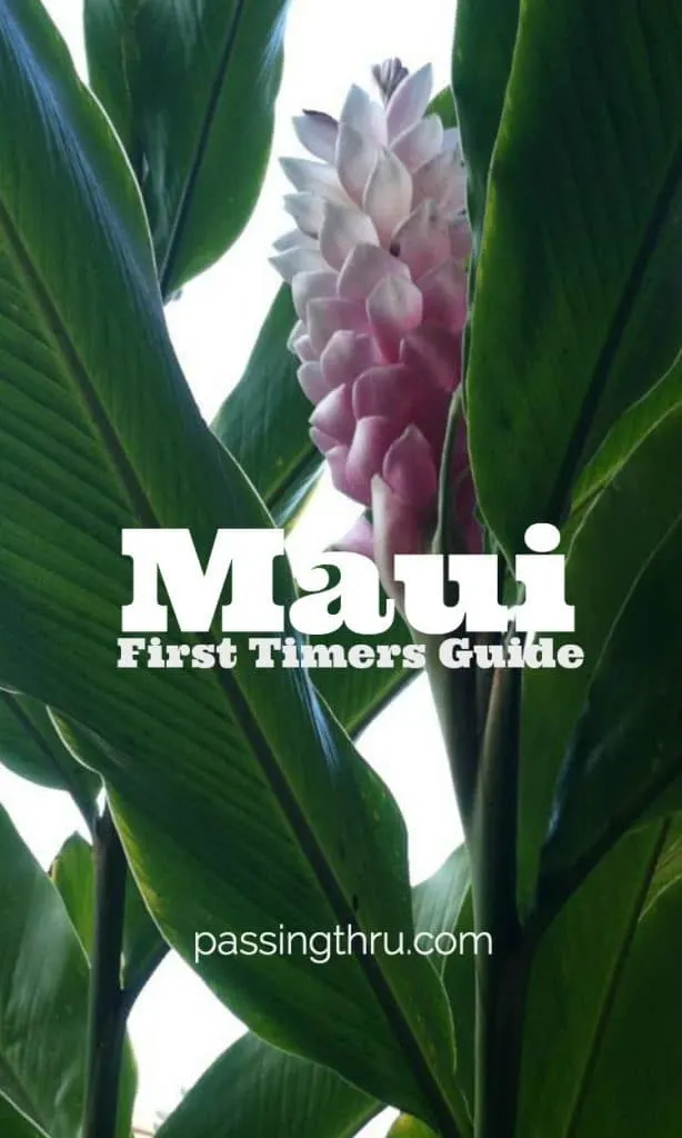 Maui First Timers Guide
