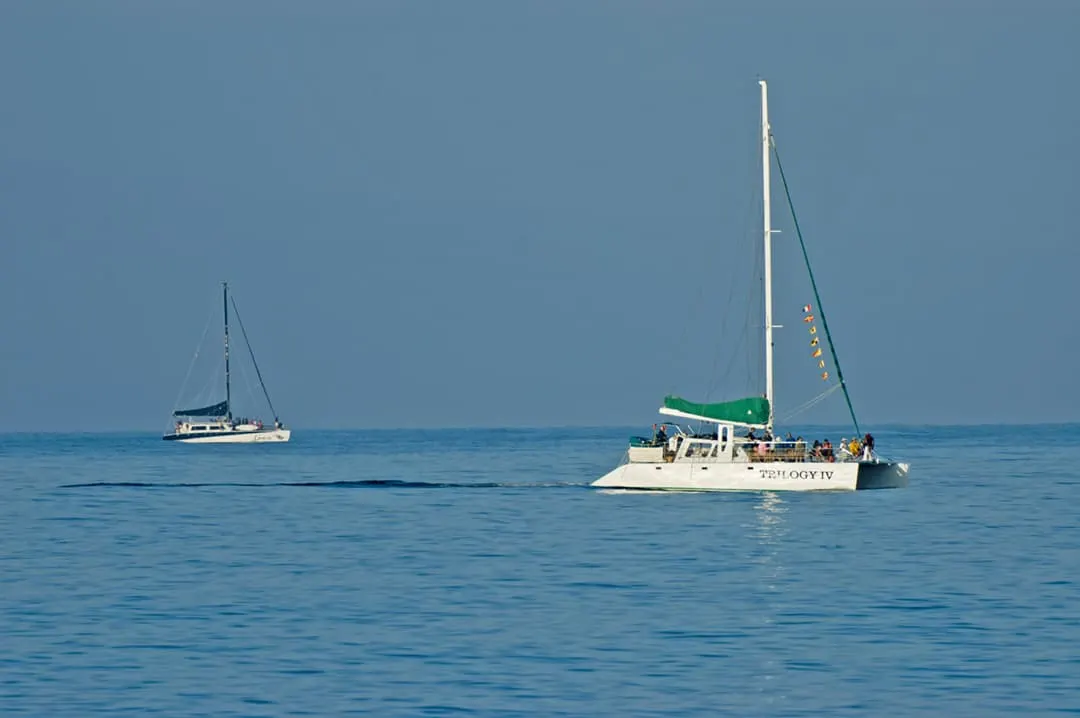 whale watching boats of maui