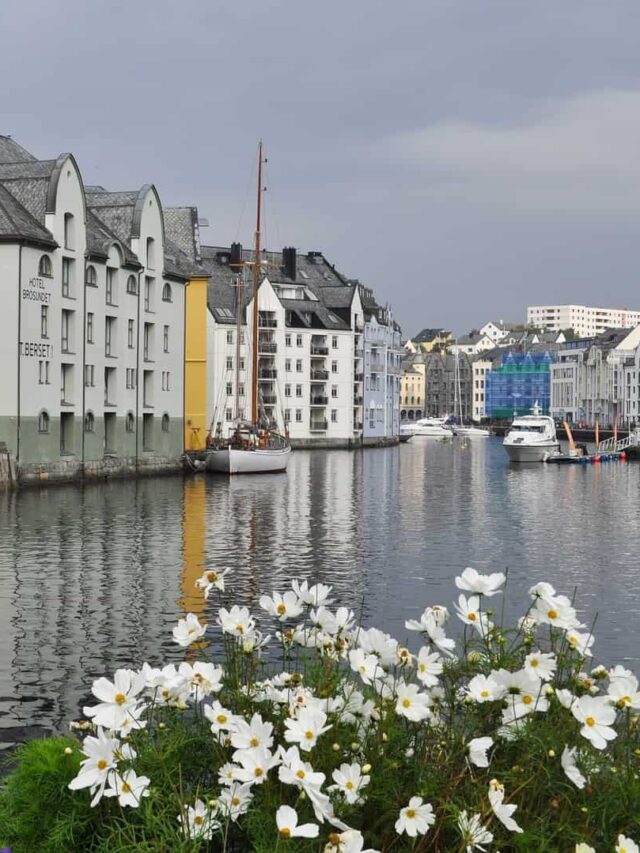 Things to Do in Bergen Norway