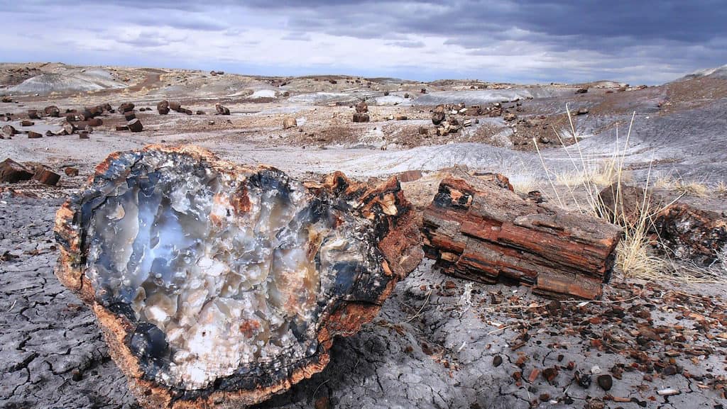 underrated places to visit in the usa petrified forest