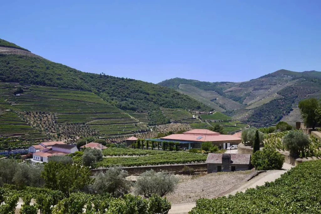best day trips from porto - douro valley