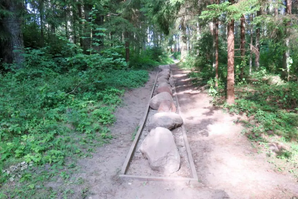 what to see in Riga - The Barefoot Path in Kemeri National Park, Latvia national park