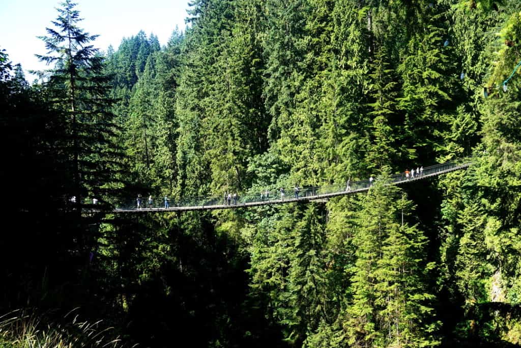 capilano suspension bridge - day trip from vancouver