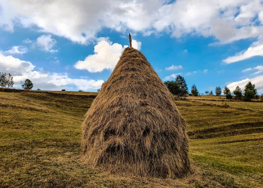 haystack romania