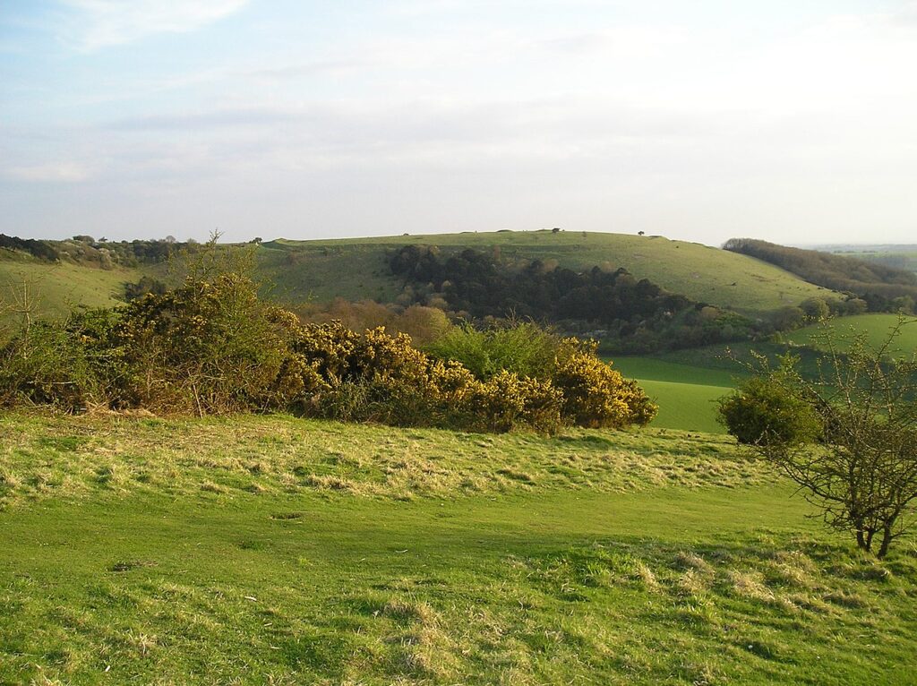 old winchester hill