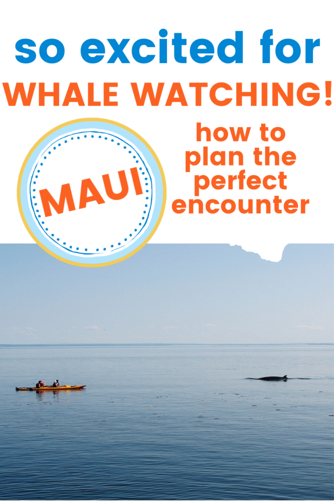 maui whale watching season how to plan