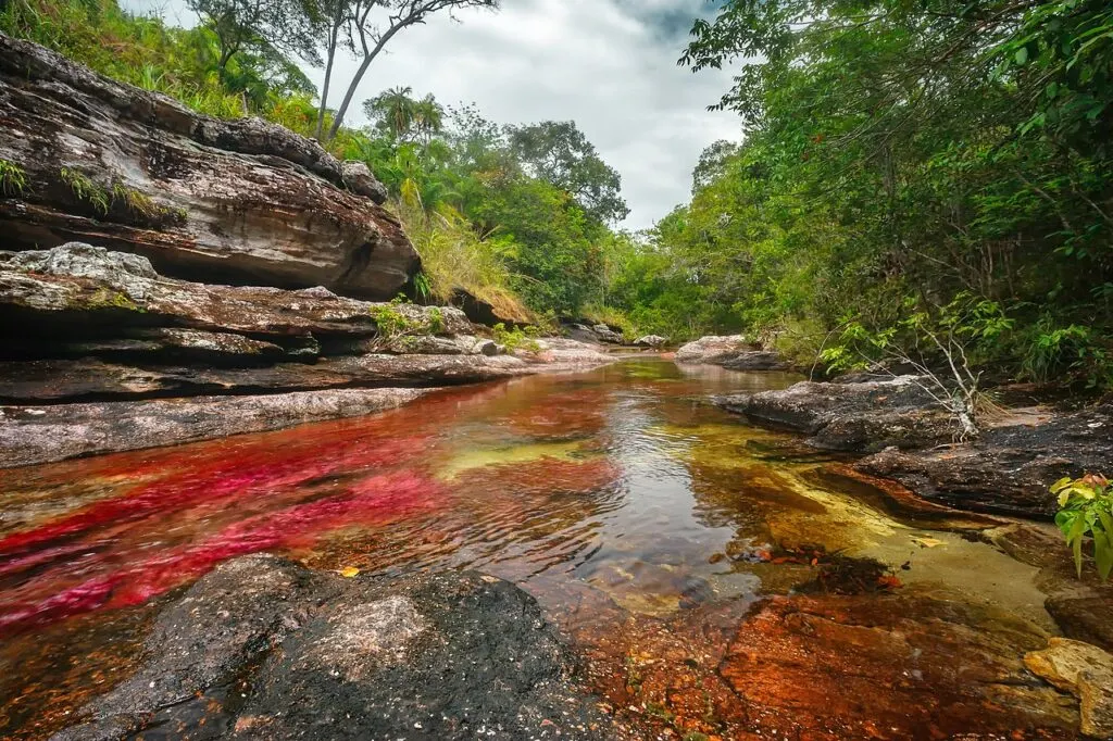 cano cristales places to visit in colombia