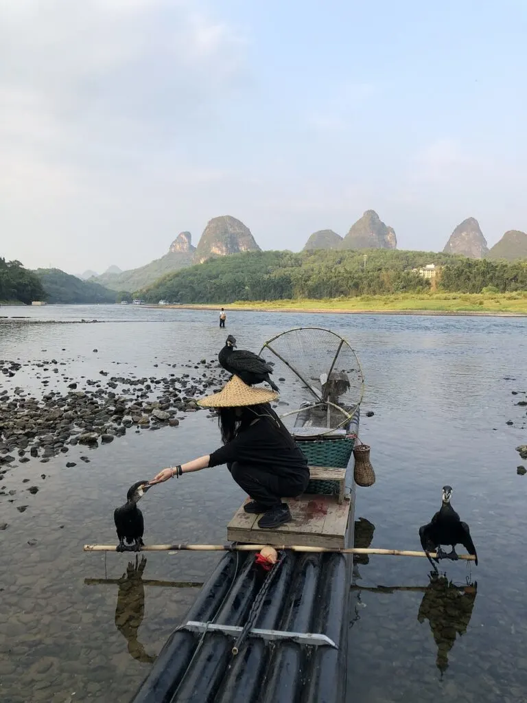 guilin bird fisherman