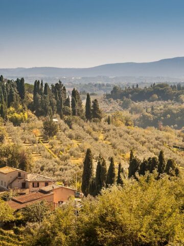 beauty of tuscany