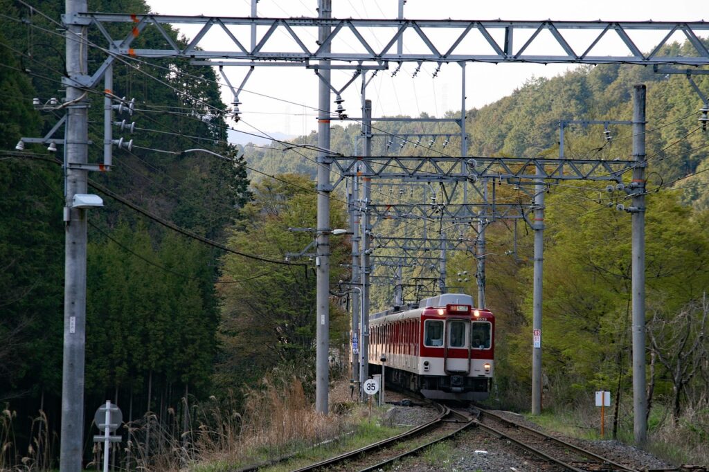nara train japan