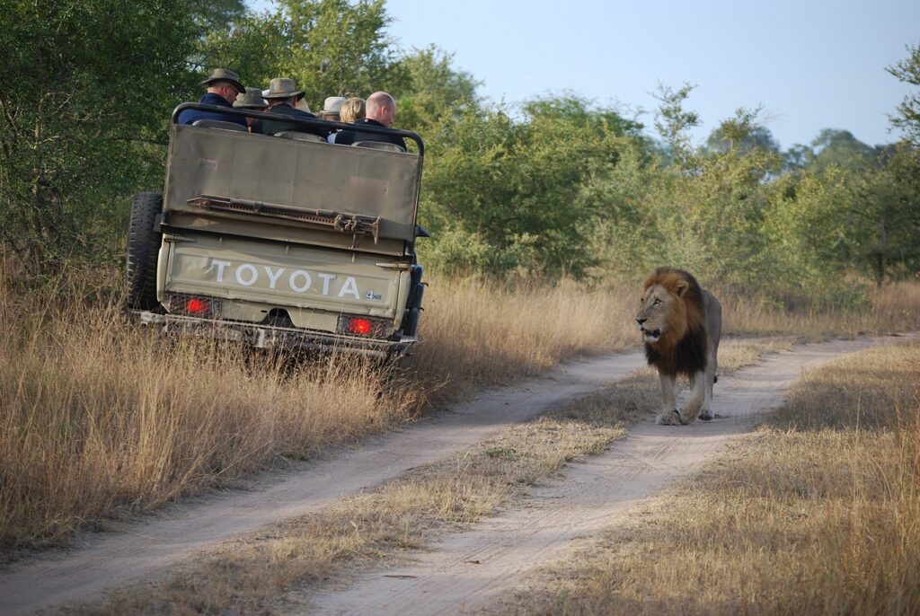 big 5 safari trip in africa