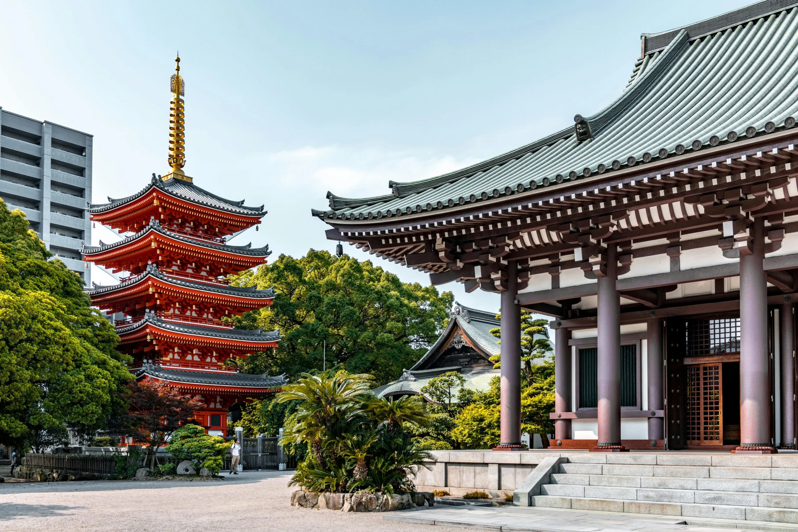 8 Off-the-Beaten-Path Asian Layover Cities Worth Exploring 8 pexels gije 7115326 scaled