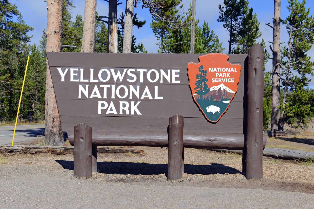 Yellowstone in One Day: Geysers, Canyons, and Wildlife Encounters ...