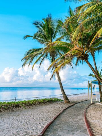 Beach Front on the Kenyan Coast Diani