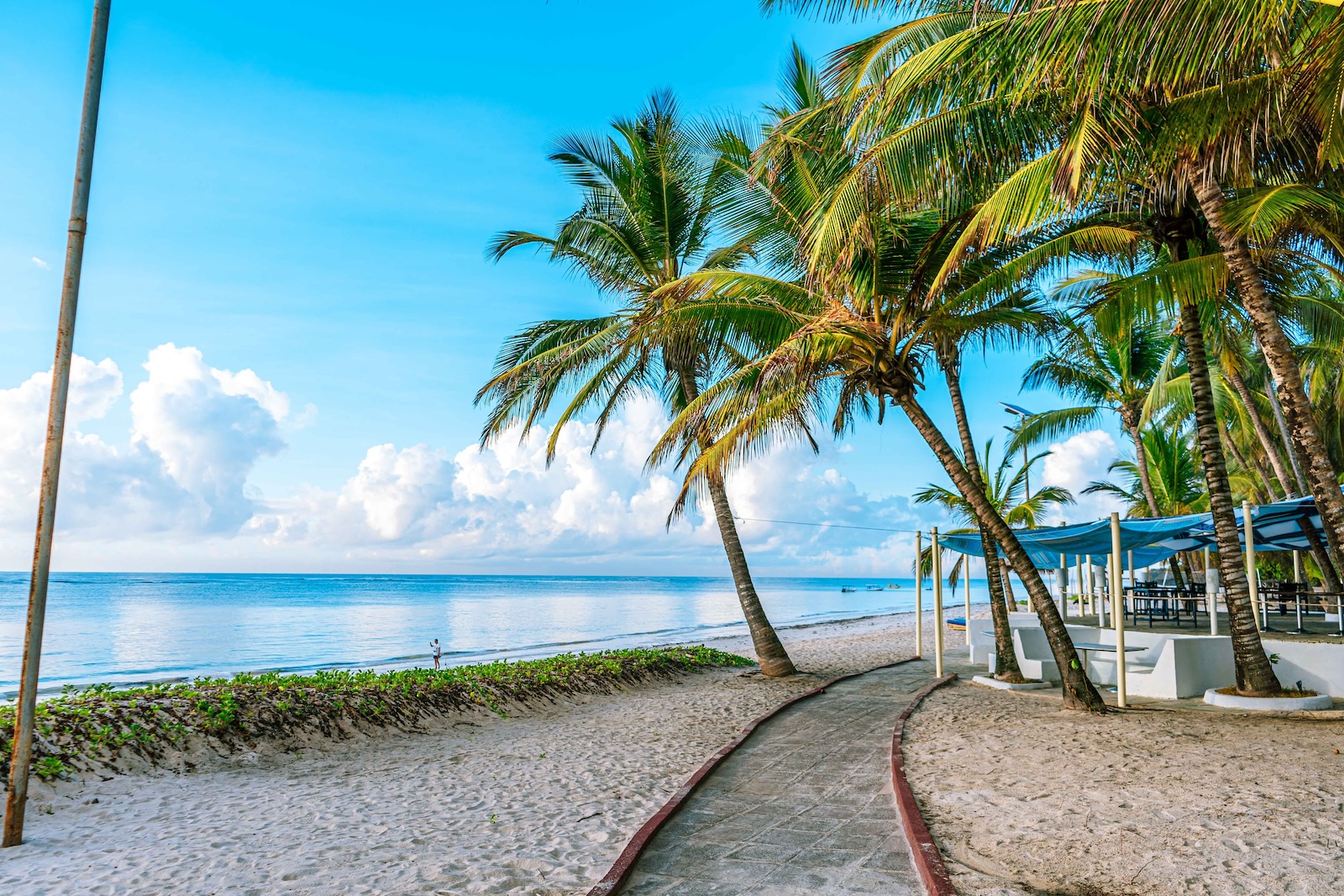 Beach Front on the Kenyan Coast Diani