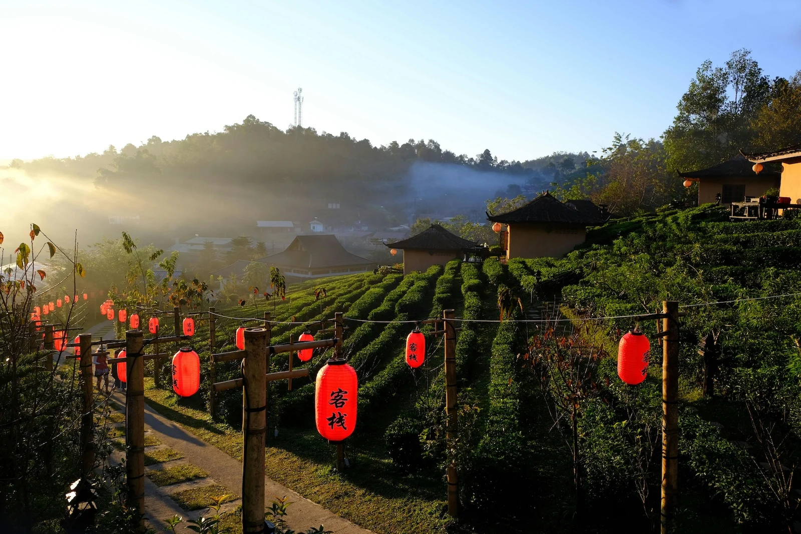 8 Off-the-Beaten-Path Asian Layover Cities Worth Exploring 1 pexels ke phuah 285929425 13099592
