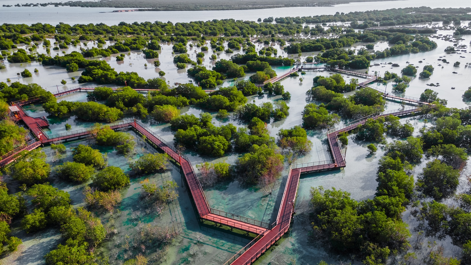 Jubail Mangrove Park in Abu Dhabi