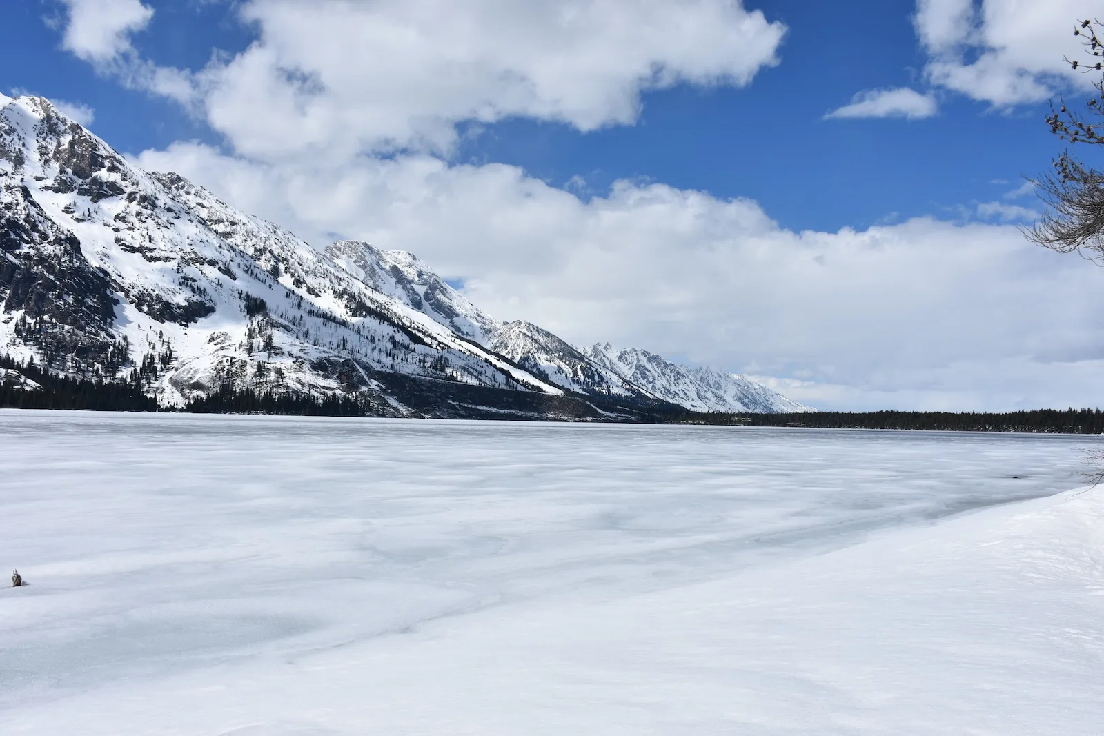 Grand Tetons with a bird sitting on a stick in the foreground