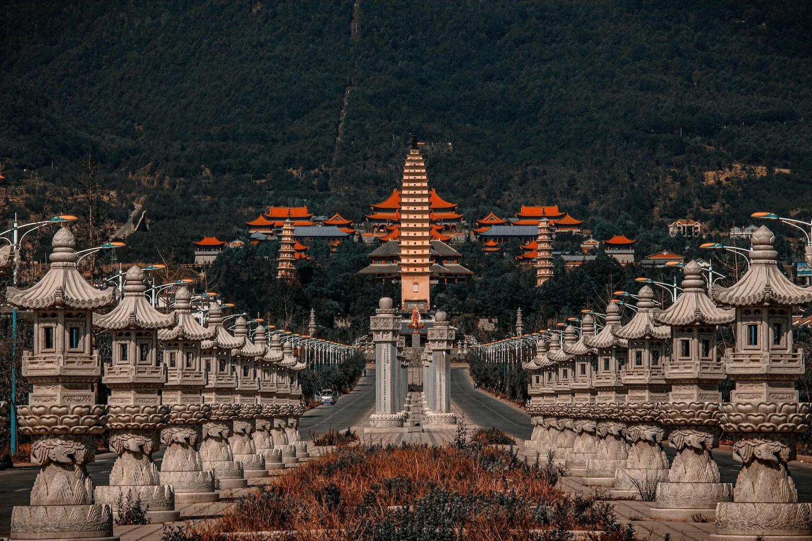 pexels liuguangxi 9030005