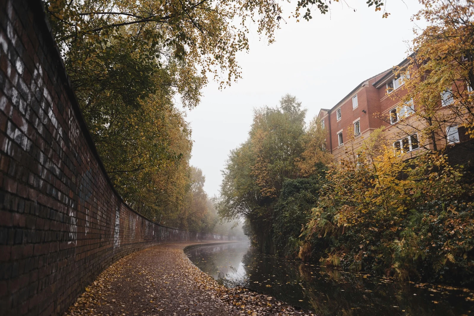 More Than Venice and Amsterdam: 15 Canal Cities That Will Steal Your Heart 4 pexels olgalioncat 7244482