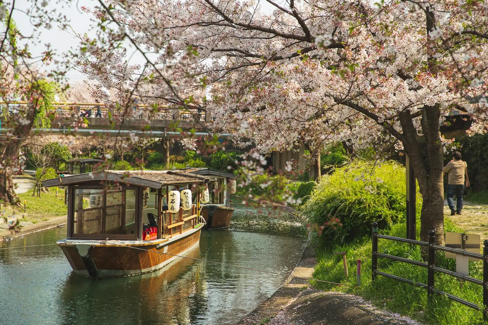 More Than Venice and Amsterdam: 15 Canal Cities That Will Steal Your Heart 9 pexels ryutaro 5473010