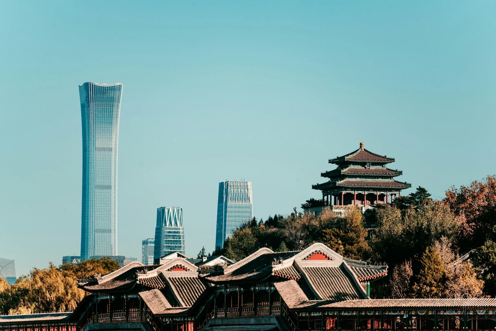 pexels zhangkaiyv 16144416