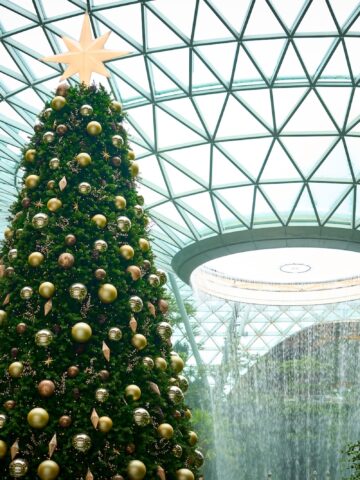 Large decorated christmas tree standing in the jewel changi airport with an indoor waterfall in the background