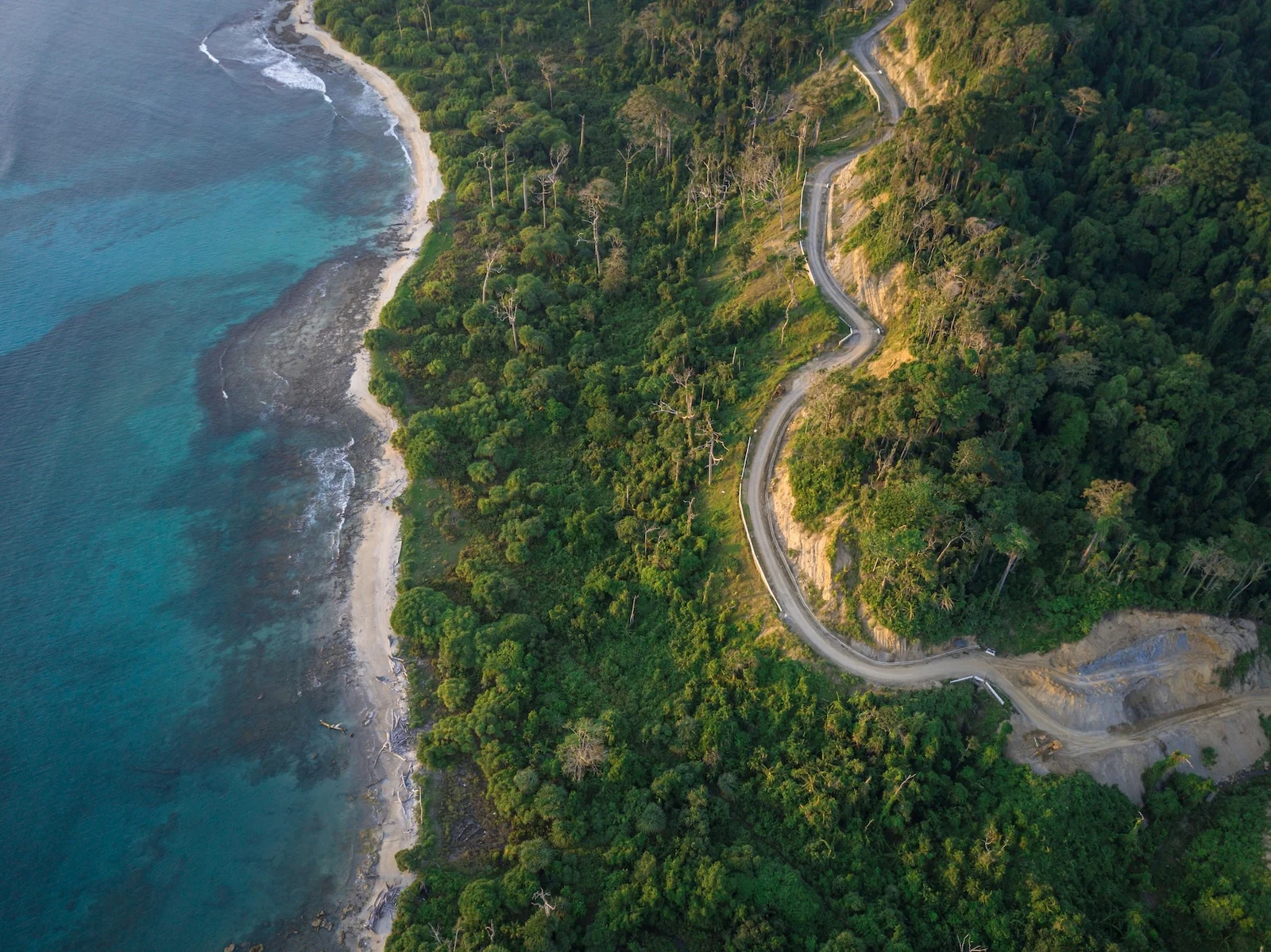 Exploring the Andaman and Nicobar Islands: India’s Hidden Paradise 2 pexels nabilnaidu 10671403