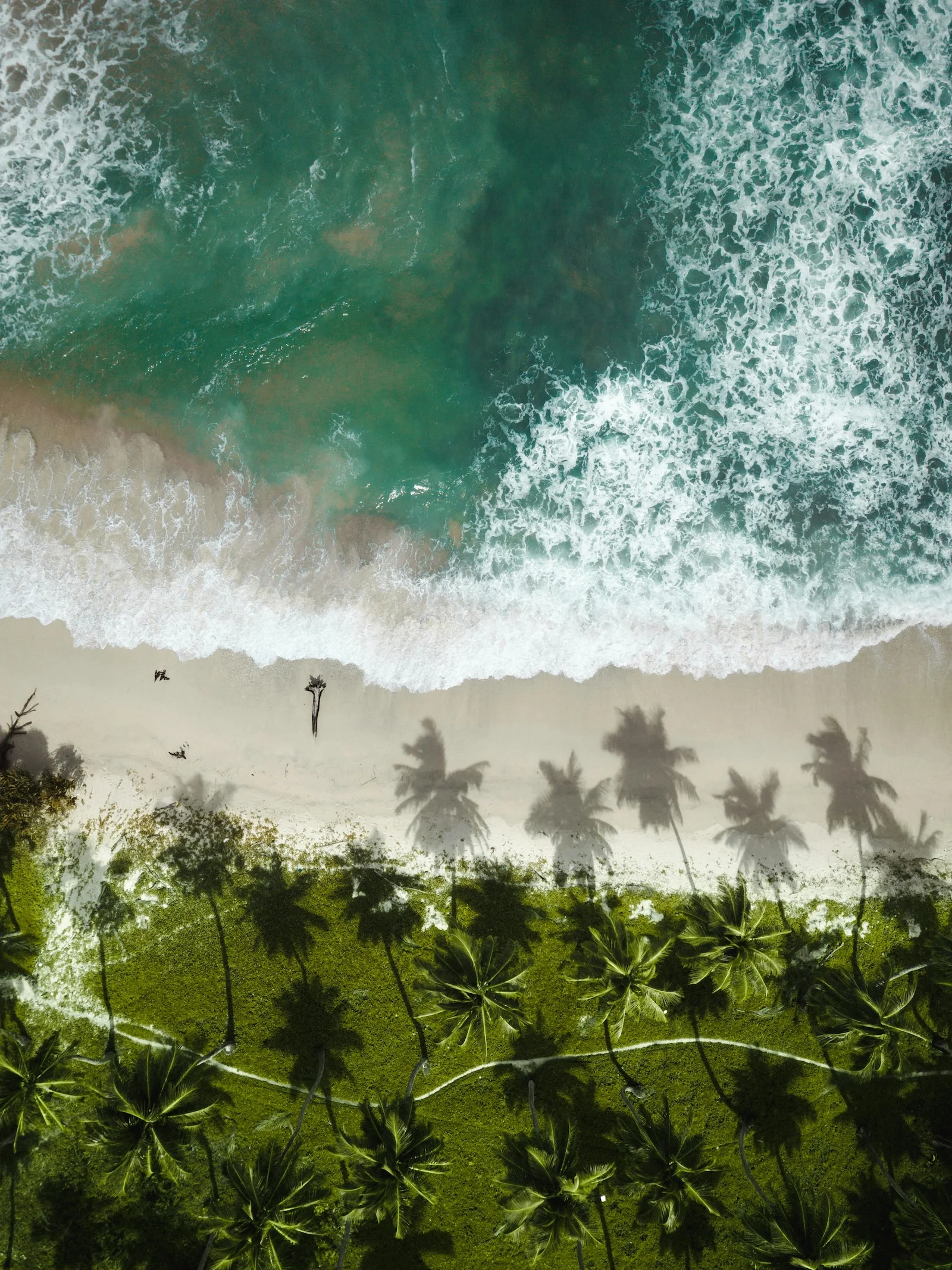 Exploring the Andaman and Nicobar Islands: India’s Hidden Paradise 3 pexels nabilnaidu 13362953