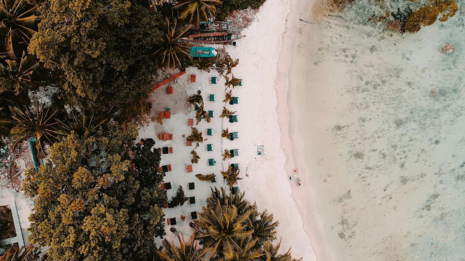 Exploring the Andaman and Nicobar Islands: India’s Hidden Paradise 1 pexels vikram singh 1263045 2403207